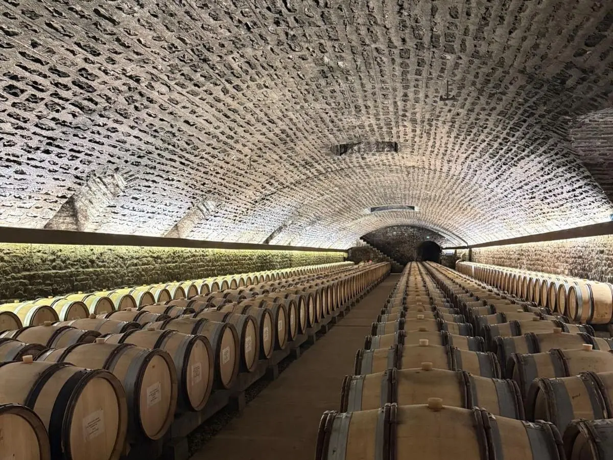 A vaulted stone wine cellar lined with rows of oak barrels, lit low along a barrel-vaulted ceiling.